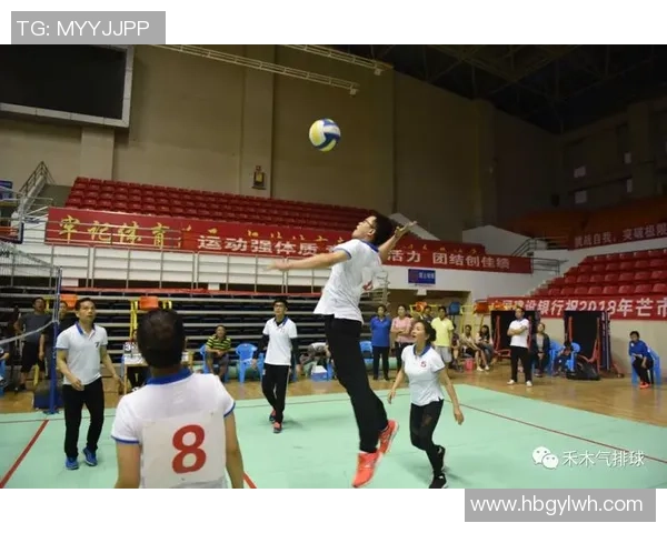 杨静独家分享排球技巧与心得助你提升技术水平和比赛表现